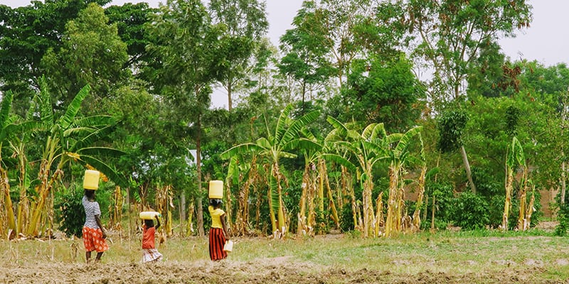 Women walking with water jugs in Uganda